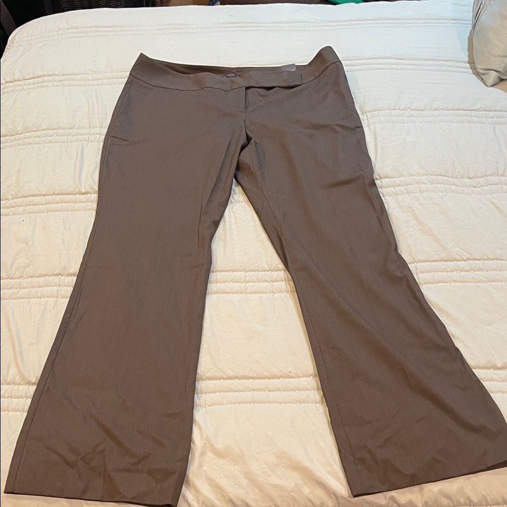 The Limited, Cassidy Fit Bootcut, brown
